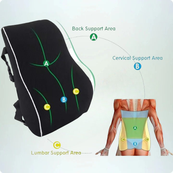 Original SpinalCare™  Cuscino Lombare Ortopedico